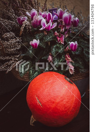 Colorful Pumpkin and Floral Composition 131404798