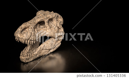 The T rex Skull for Education Or sci concept 3d Rendering. The T rex Skull for Education Or sci concept 3d Rendering. 131405336