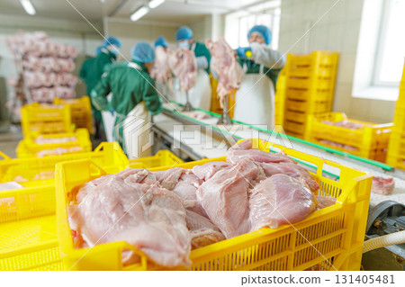 Fresh turkey fillets packed in crates on a modern processing line with workers in protective gear and clean hygiene standards. 131405481