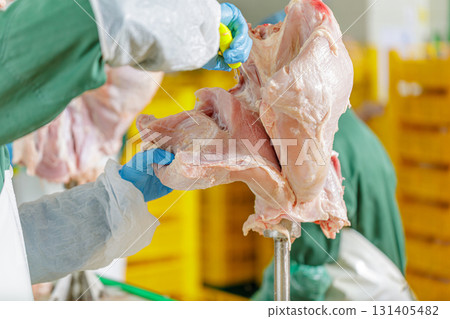 Gloved worker trims raw turkey breast from carcass on a chilled poultry line, showing safe hygiene and industrial food production. Gloved worker trims raw turkey breast from carcass on a chilled poultry line, showing safe hygiene and industrial food production. 131405482