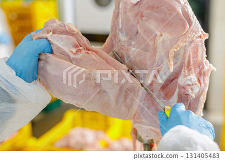 Gloved worker separates raw turkey breast from carcass on a chilled processing line, showing safe hygiene and modern food production. 131405483