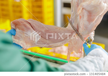 Gloved worker cutting raw turkey fillet from carcass at chilled poultry factory with strict hygiene controls. Gloved worker cutting raw turkey fillet from carcass at chilled poultry factory with strict hygiene controls. 131405484