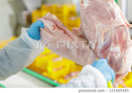 Worker in gloves cutting raw turkey carcass at chilled poultry factory with strict hygiene and quality control. 131405485
