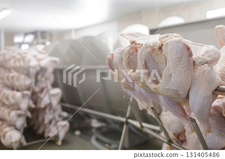 Eviscerated turkeys on racks inside a chilled poultry factory showing modern hygiene and industrial processing. 131405486