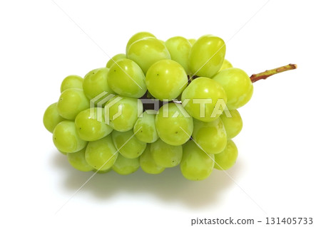 閃耀馬斯喀特 閃耀馬斯喀特 131405733