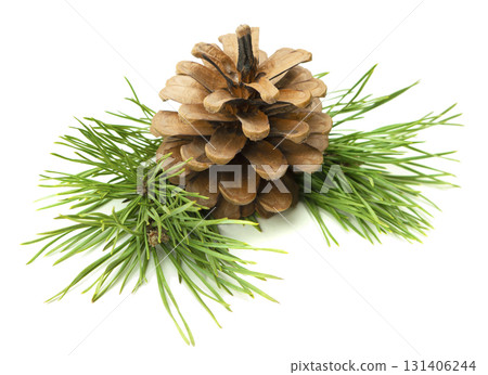 A natural holiday arrangement of fir branches and cones, displayed on a white background with shadow in a close-up view. 131406244