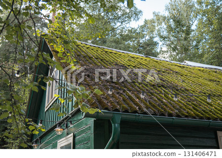 Close-up of an old green wooden house with a moss-covered roof and string lights among leafy branches Close-up of an old green wooden house with a moss-covered roof and string lights among leafy branches 131406471