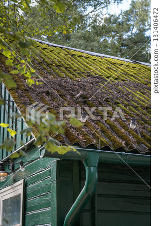 Close-up of an old green wooden house with a moss-covered roof and string lights among leafy branches Close-up of an old green wooden house with a moss-covered roof and string lights among leafy branches 131406472