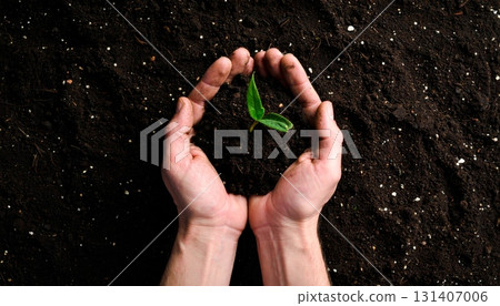 Hands cradle a small green plant or seedling, symbolizing new life, growth, and care for nature and the environment Hands cradle a small green plant or seedling, symbolizing new life, growth, and care for nature and the environment 131407006