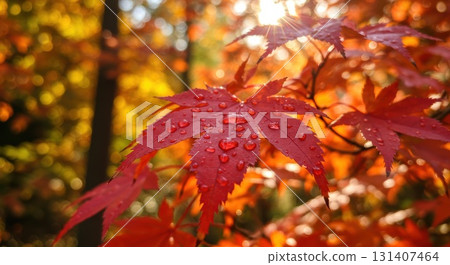秋天的色調和太陽的葉子 131407464