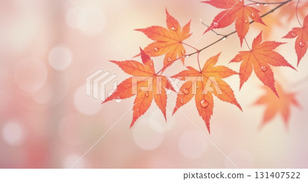 Autumn tints and sun leaves Autumn tints and sun leaves 131407522