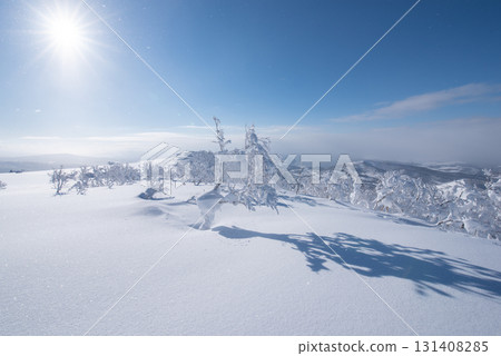 從北海道留壽都度假村滑雪場看到的洞爺湖 從北海道留壽都度假村滑雪場看到的洞爺湖 131408285