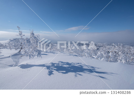 從北海道留壽都度假村滑雪場看到的洞爺湖 從北海道留壽都度假村滑雪場看到的洞爺湖 131408286
