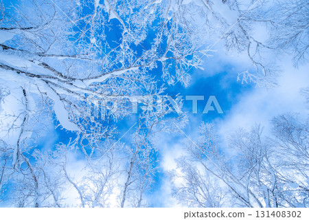 A tree shining in the blue sky 131408302