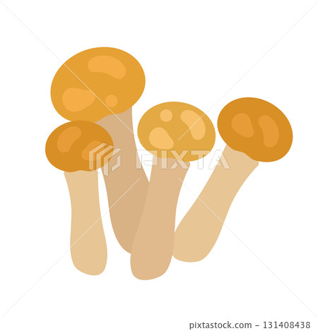 Nameko illustration 131408438