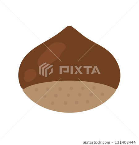 Chestnut illustration Chestnut illustration 131408444