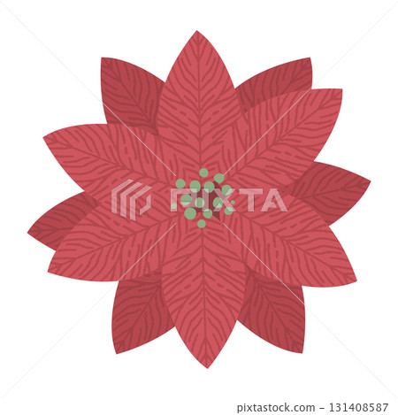 Cute poinsettia illustration 131408587