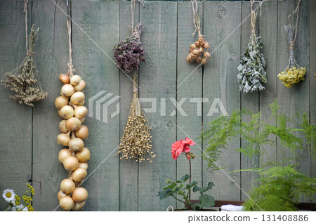 Various herbs and onions hanging on a rustic wooden fence, a charming rustic scene. Various herbs and onions hanging on a rustic wooden fence, a charming rustic scene. 131408886