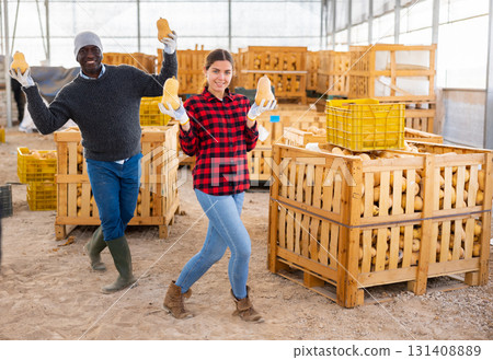 Warehouse workers posing or dancing with honeynut squashes Warehouse workers posing or dancing with honeynut squashes 131408889