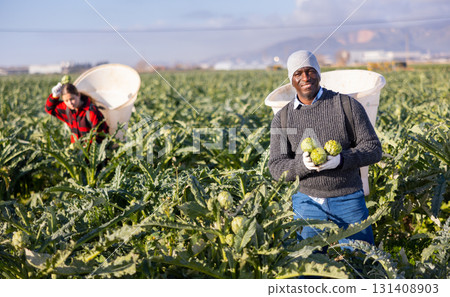 Man gardener with artichokes standing on plantation 131408903