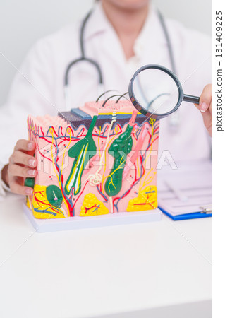 woman Patient consultation Dermatologist with anatomy of skin and hair. Skin disease and Hair loss, Systemic Lupus Erythematosus or SLE, world lupus day, May Melanoma and Skin Cancer Awareness month 131409225