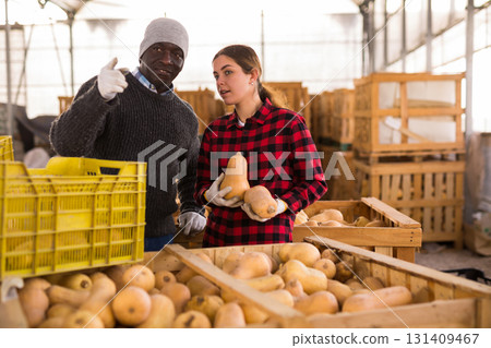 Man and young woman workers talking in pumkin storehouse Man and young woman workers talking in pumkin storehouse 131409467