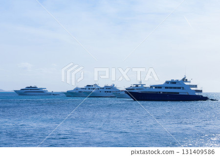 Majestic yacht fleet sailing on tranquil blue ocean under clear skies Majestic yacht fleet sailing on tranquil blue ocean under clear skies 131409586