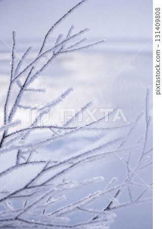 由於輻射冷卻而落在森林上的霜(Onhara Kogen周圍) 由於輻射冷卻而落在森林上的霜(Onhara Kogen周圍) 131409808