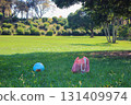 Lawn and trees at the Agricultural Center [Ball and bag] 131409974