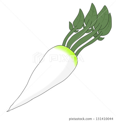 Illustration of a simple radish 131410044