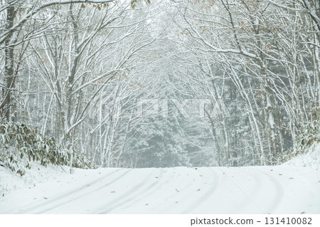 Satoyama snow road (around Lake Onbara) 131410082