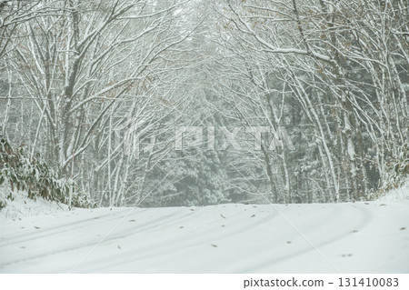 Satoyama snow road (around Lake Onbara) Satoyama snow road (around Lake Onbara) 131410083