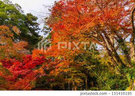 Mount Takao in autumn - In front of Kiyotaki Station on the Keio Line, the morning sun shines in. Mount Takao in autumn - In front of Kiyotaki Station on the Keio Line, the morning sun shines in. 131410195