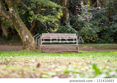 公園的長椅上 公園的長椅上 131410883