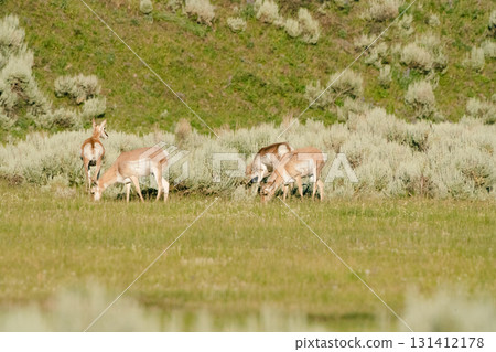 Yellowknife National Park 1 131412178