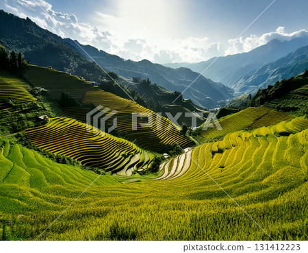 Stunning layered rice terraces cascading down a mountainside, Peaceful rural setting with expansive rice terraces. AI Generated. 131412223