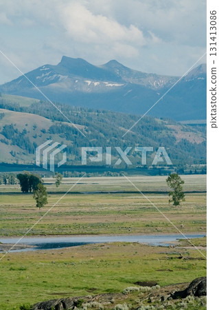 Yellowstone National Park 111 131413086