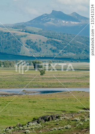 黃石國家公園 130 131413134