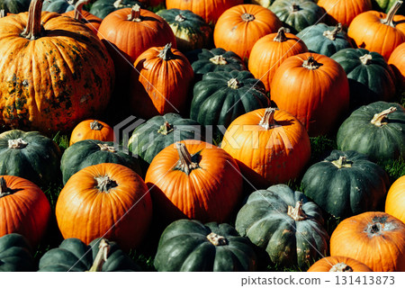 Colorful Harvest Display of Pumpkins Outdoors, symbolizing harvest season, autumn, and Thanksgiving. Colorful Harvest Display of Pumpkins Outdoors, symbolizing harvest season, autumn, and Thanksgiving. 131413873