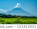 從朝霧高原眺望的富士山和當歸樹 131413931