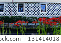 Cluster amaryllis and sea cucumber wall 131414018