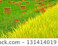 Before after 131414019