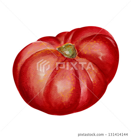 A large, juicy tomato with veins and folds. A ripe red vegetable. Autumn harvest for the fair. Watercolor illustration without background. Hand-drawn. High quality illustration 131414144