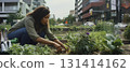 African American young woman planting plants in a flower bed outdoor in the city. 131414162