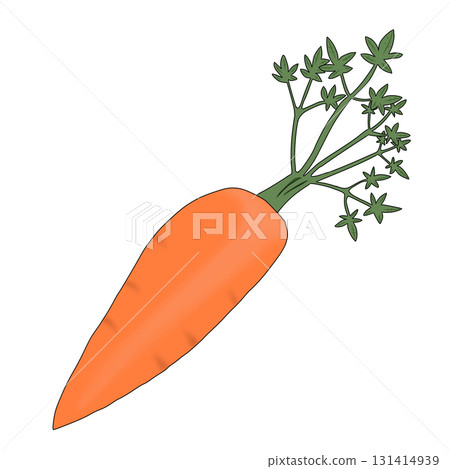 Simple and easy to understand carrots Simple and easy to understand carrots 131414939