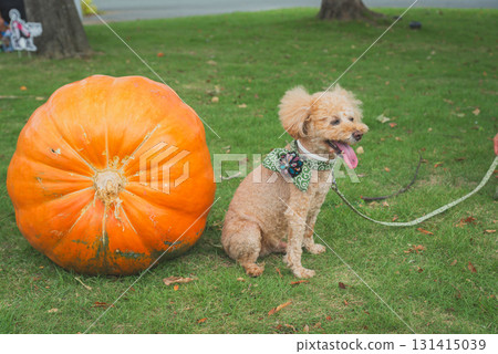 和狗一起散步 和狗一起散步 131415039