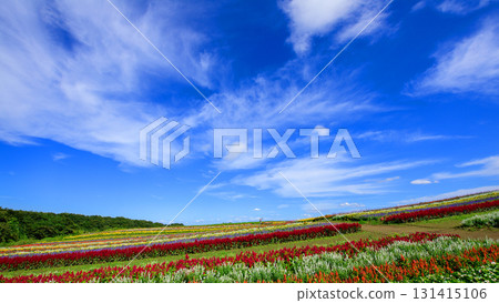Yakurai Garden, Miyagi Prefecture: Open Sky and Flower Fields Yakurai Garden, Miyagi Prefecture: Open Sky and Flower Fields 131415106