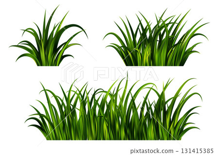 Green grass on field. Lawn plants isolated on white background. Realistic nature garden and meadow illustration. Long vegetation leaves border. Summer fresh foliage vector design. Green grass on field. Lawn plants isolated on white background. Realistic nature garden and meadow illustration. Long vegetation leaves border. Summer fresh foliage vector design. 131415385