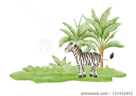 Cute zebra in jungle watercolor illustration isolated on white. Hand drawn African safari animal with palm trees for kids and nursery decor. Child drawing savannah nature clip art Cute zebra in jungle watercolor illustration isolated on white. Hand drawn African safari animal with palm trees for kids and nursery decor. Child drawing savannah nature clip art 131416952