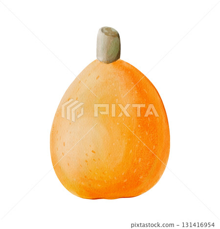 Ripe medlar. Orange plum. Exotic fruit. Orange oval food. Spring harvest. Mediterranean delicacy. Botanical watercolor illustration isolated from the background. Hand drawn. High quality illustration Ripe medlar. Orange plum. Exotic fruit. Orange oval food. Spring harvest. Mediterranean delicacy. Botanical watercolor illustration isolated from the background. Hand drawn. High quality illustration 131416954